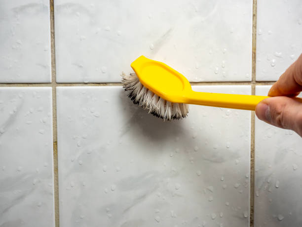 Best Local Mold Removal Service  in Collinsville, AL