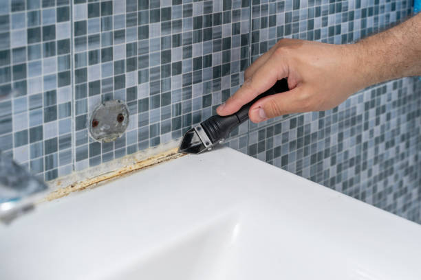 Best Affordable Mold Removal  in Collinsville, AL